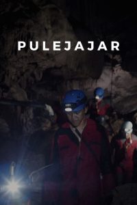 Pulejajar