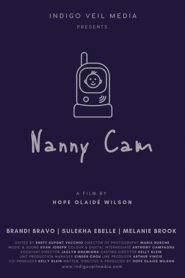 Nanny Cam