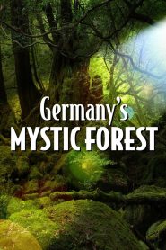 Germany’s Mystic Forest