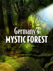 Germany’s Mystic Forest