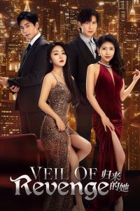 Veil of Revenge: Season 1