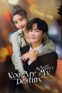 You Are My Destiny: Season 1