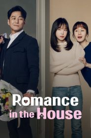 Romance in the House: Season 1